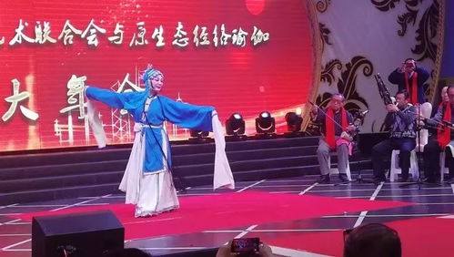 呼市民間文藝團隊才藝展示迎新年 文化藝術交流活動