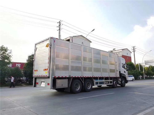 新規下的廂式豬仔運輸車 安裝標準與安全運輸全解析